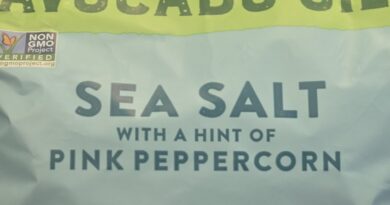 Sea Salt chips